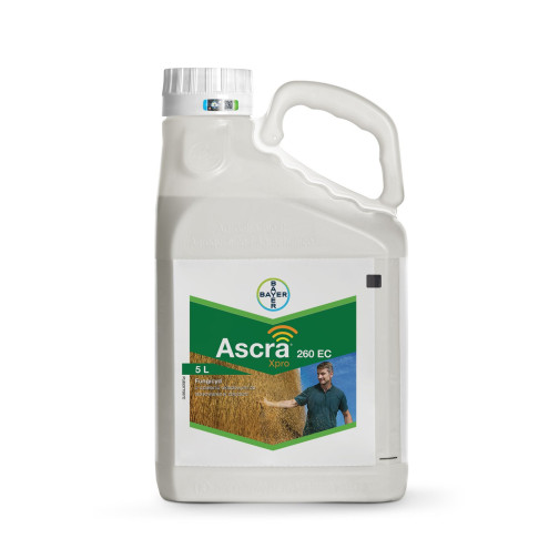 Ascara Xpro 260 EC 5 L BAYER