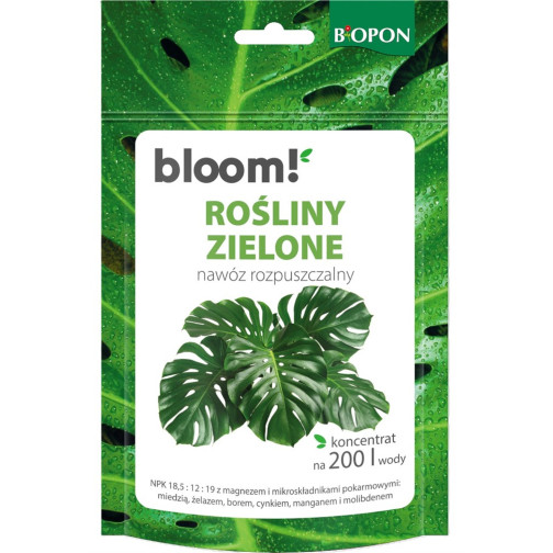 BLOOM! Rośliny zielone –...