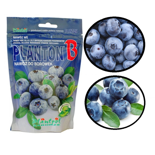 PLANTON B DO BORÓWKI - 200 g