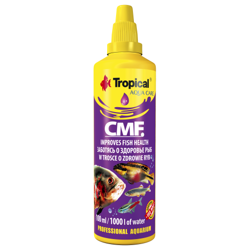TROPICAL CMF