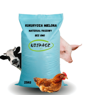 Kukurydza mielona paszowa bez GMO 25kg
