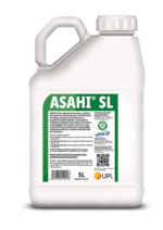 Asahi SL