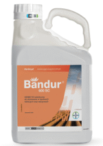 Bandur 600 SC