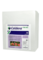 Caldera 700 WG