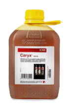 Caryx 240 SL