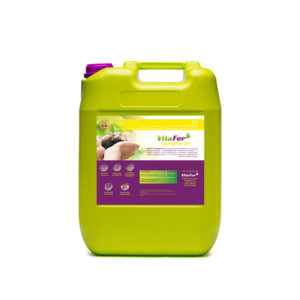 VitaFer ZN Complex 10L