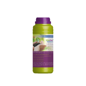 VitaFer Perfekt Clean 1L