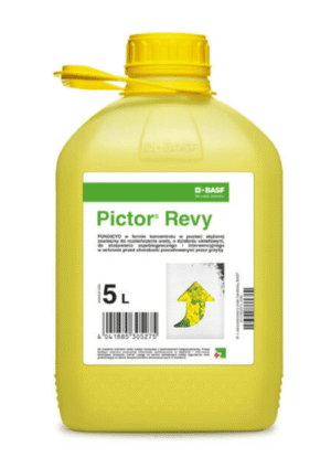 Pictor Revy