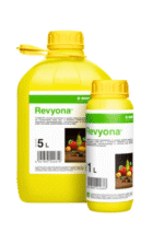 Revyona