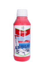 Scenic 080 FS