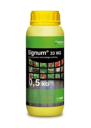 Signum 33 WG